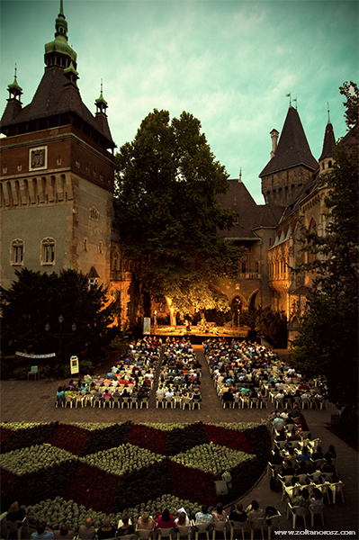 Zoltan Orosz - 2014 / Budapest / Vajdahunyad Castle